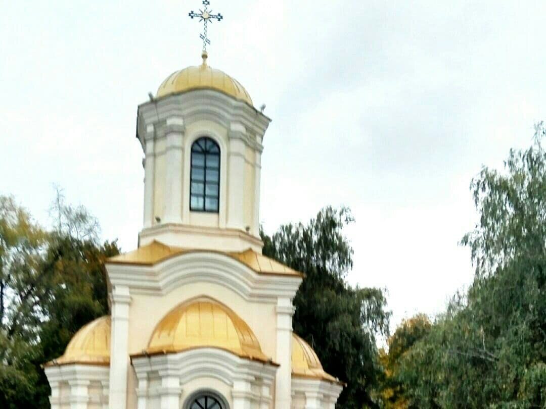 Ответы на интересующие вопросы я узнал у священника из нашей церкви