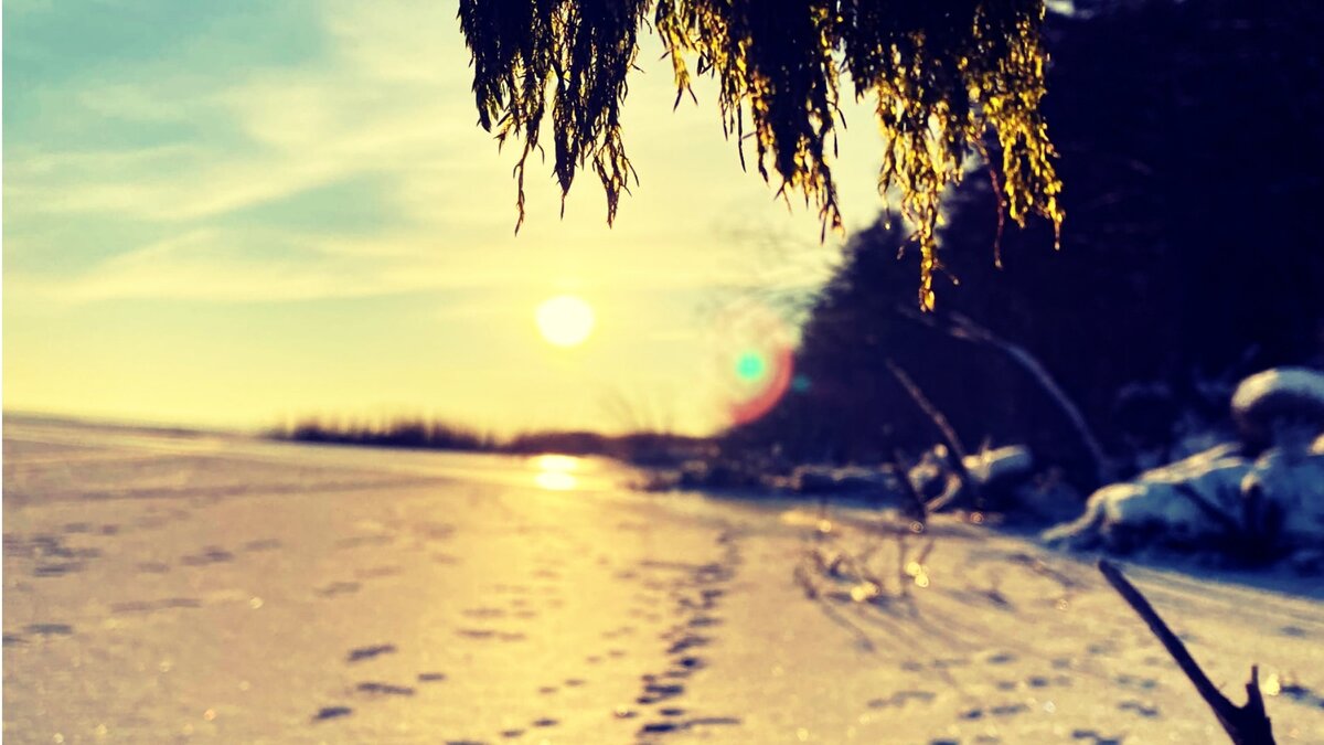 Подписывайтесь на мой канал, так вы поддержите его и не пропустите новые статьи! Приглашаю на мой блог https://irinakovalkova.ru/