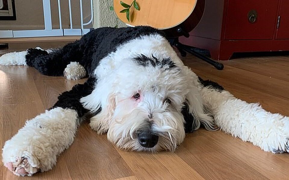 Источник: Яндекс картинки