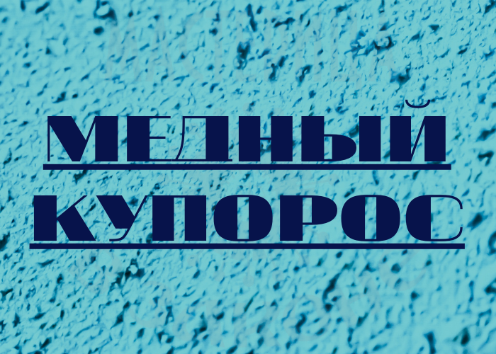 Полезные советы