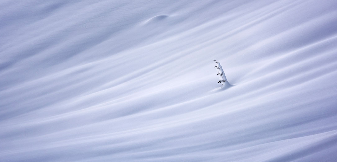 Источник: Matt Jackisch, thepanoawards.com