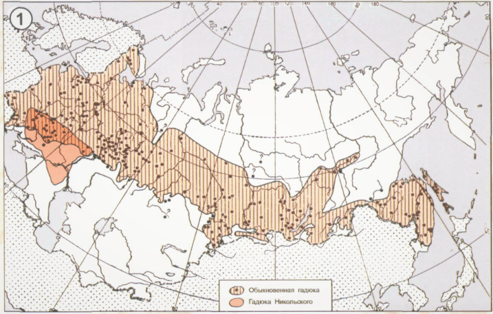 Фотография из советского атласа. Источник: http://herpeton.ru/books/item/f00/s00/z0000031/st313.shtml