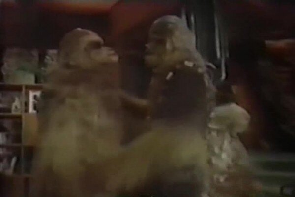 Простите за качество... Другого нет.