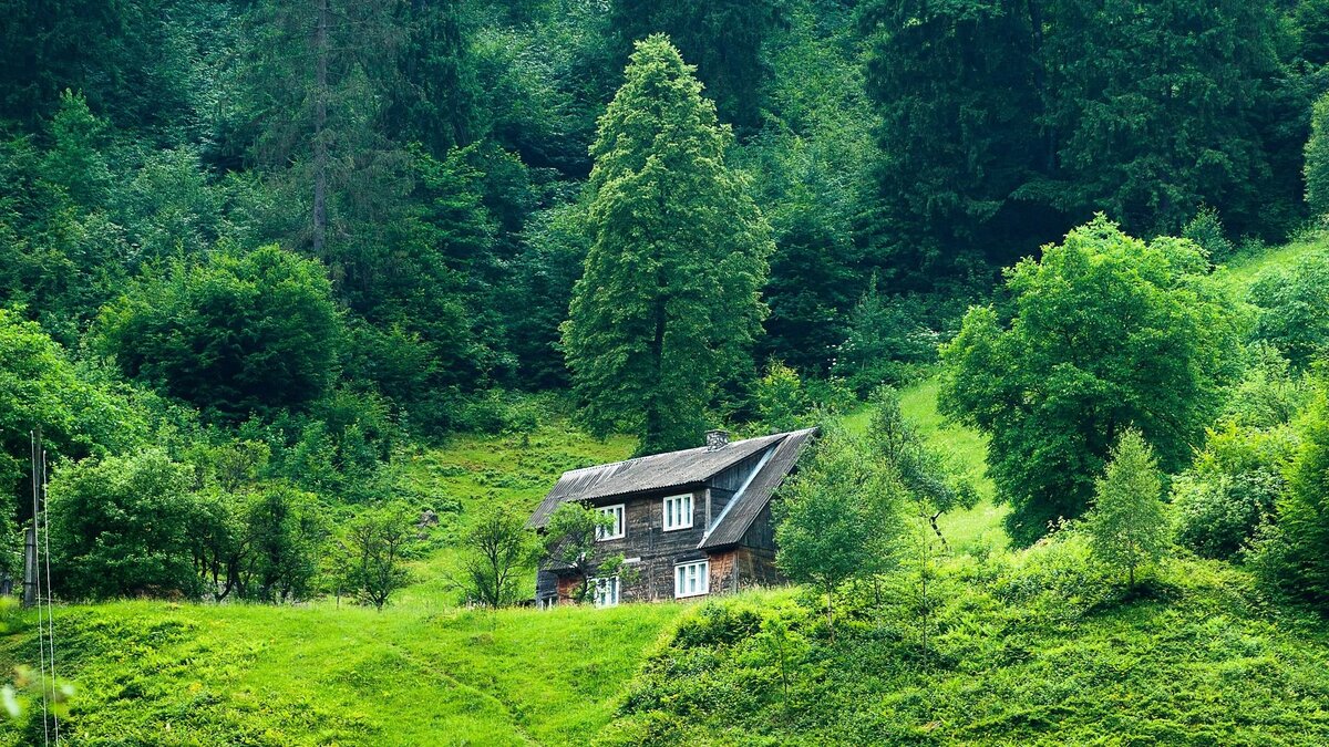 Яндекс.Картинки