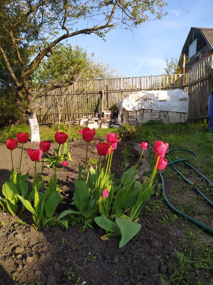 Фото автора 