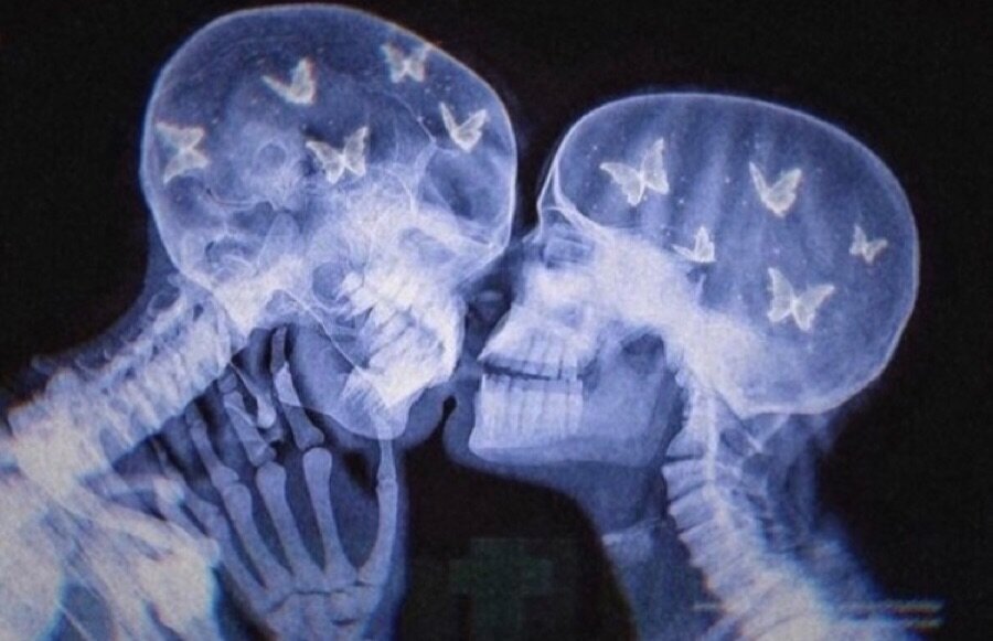 источник : Всемирная сеть Интернет.