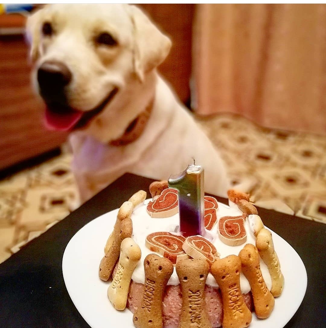 Фото из интернета