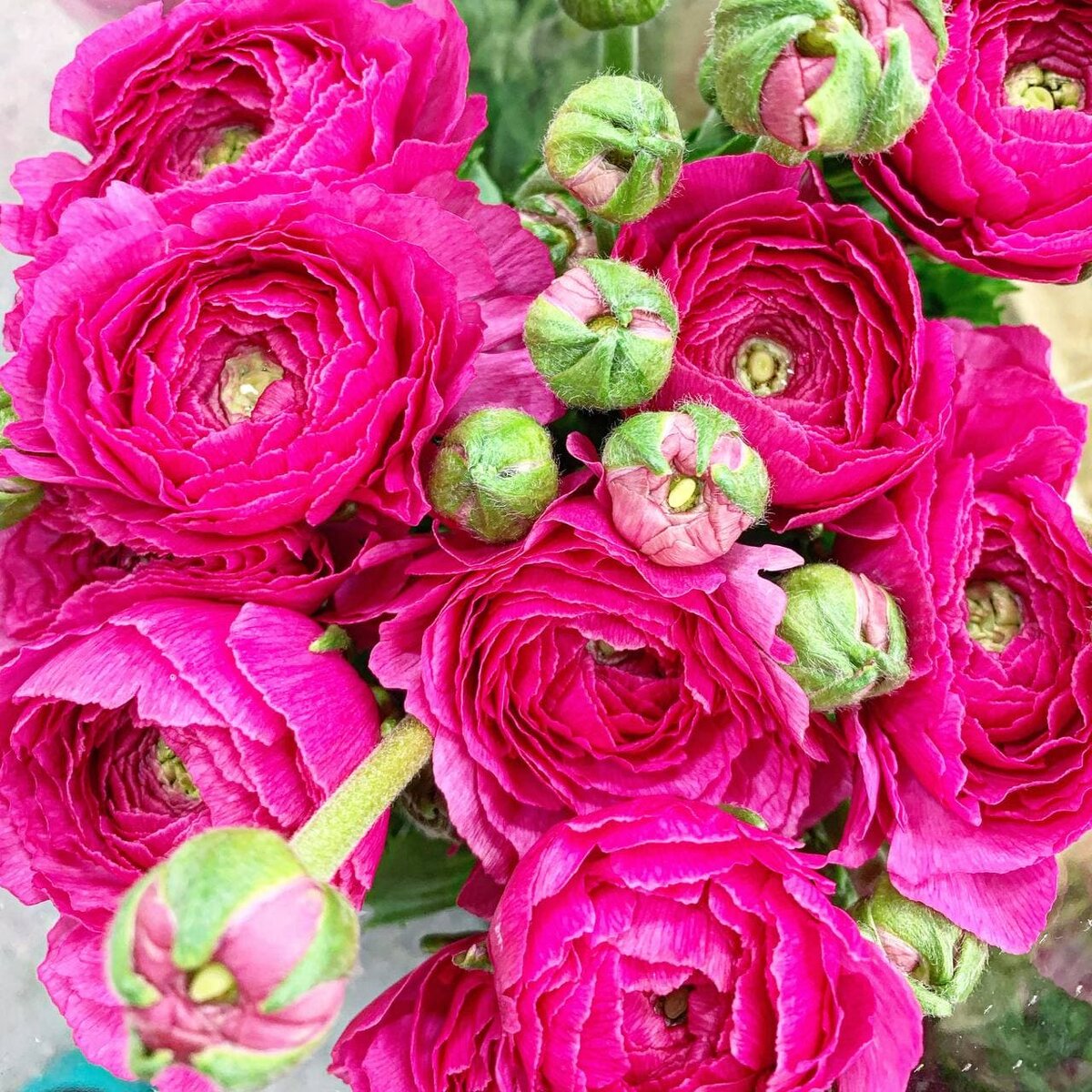 Фото из личного архива автора