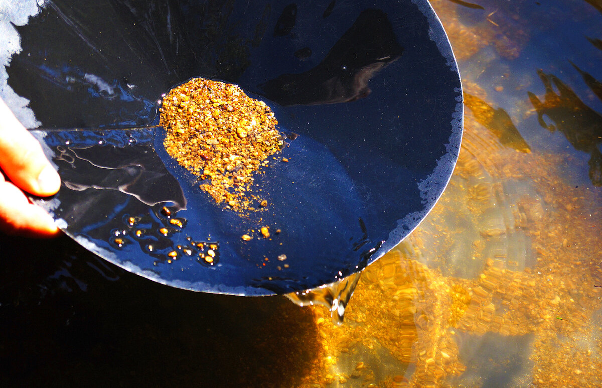Сколько золота нашли кладоискатели во время золотой лихорадки в Аляске? |  МИР НАУКИ: интересное вокруг | Дзен