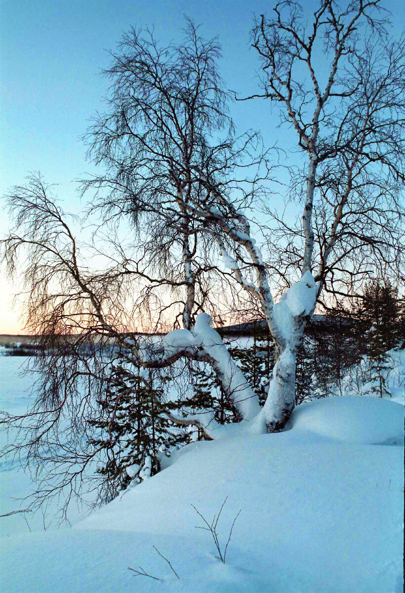 ФОТО ВАДИМА ЗАЙЦЕВА