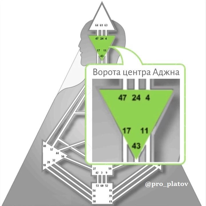 TexnikisnovidenijnayavuiliNevidimyecepibytiya 107930