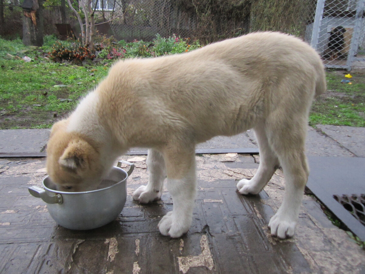 Миша 3 месяца