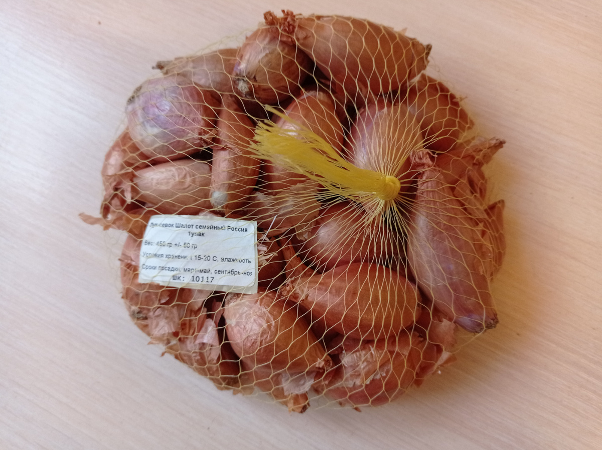 А это новый для меня лук -севок  Шалот семейный