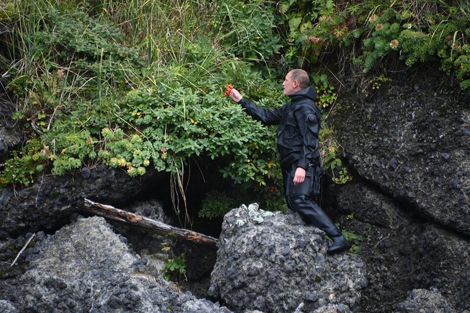     Кроме сбора трав можно насладиться природными пейзажами Владимир ВЕЛЕНГУРИН