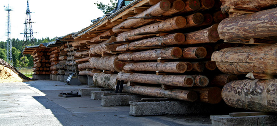 Влажность и температурный режим при сушке древесины: что следует знать