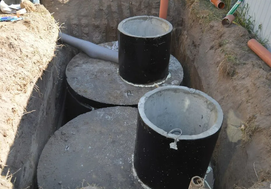 Фотография взята из источника yandex.ru