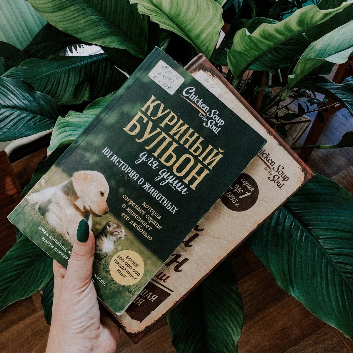 Для начала взяла пару книг в библиотеке. Потому что очень хочу читать их в бумажном варианте, а не в электронном, как та, что была по работе