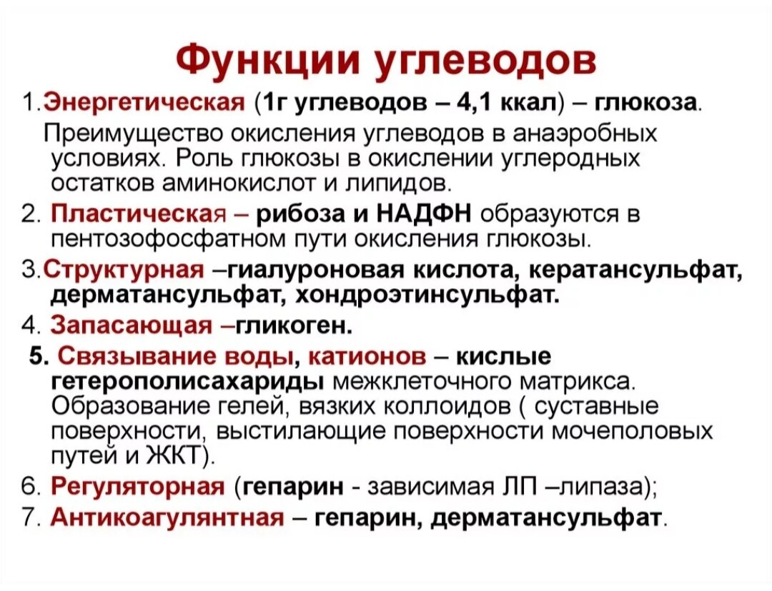 Энергетическая функция углеводов. Функции углеводов биохимия. Биологические функции углеводов. Функции углеводов биология 8 класс. Функции углеводов и их описание.