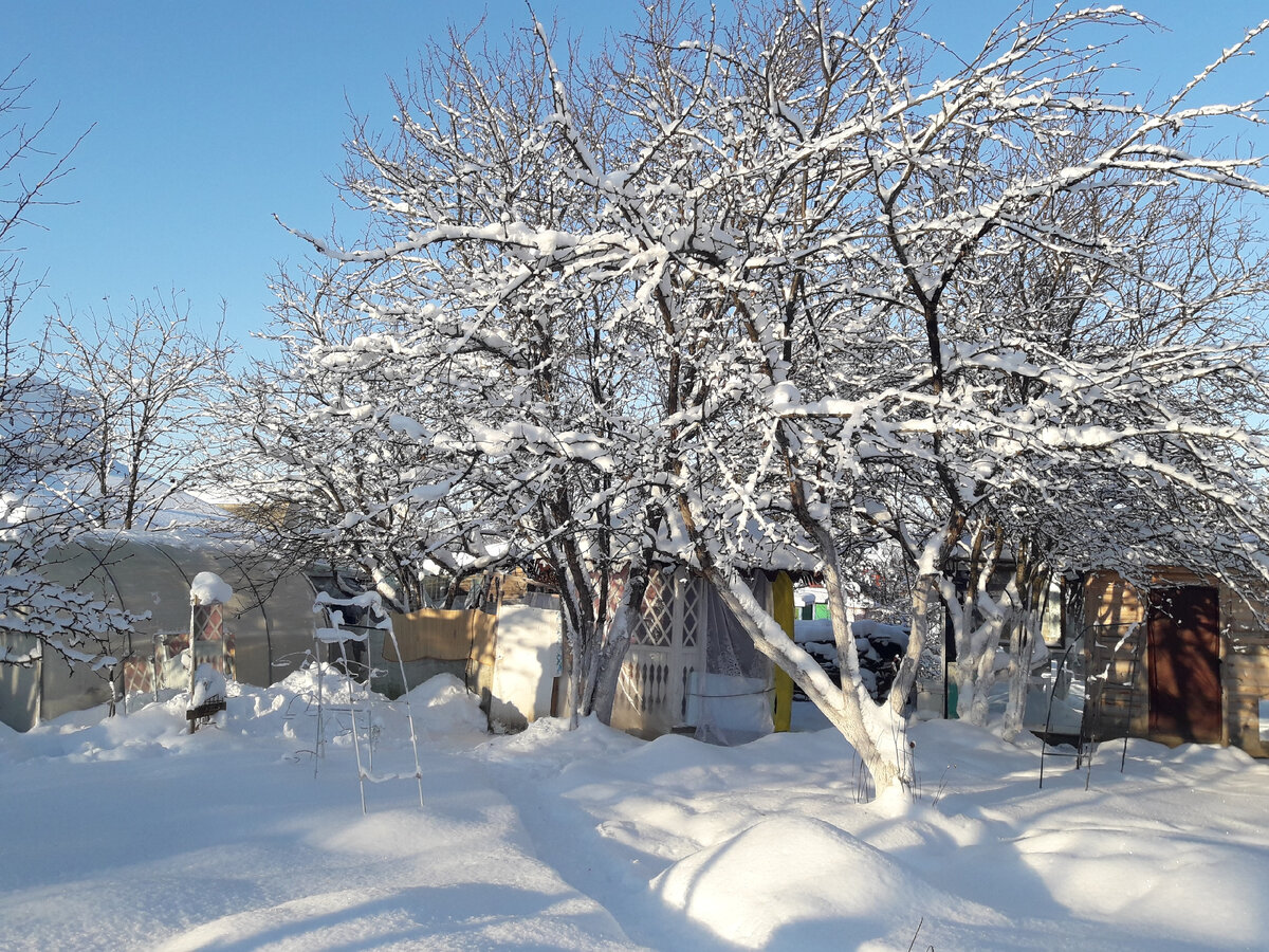 Фото для обложки. Моя дача