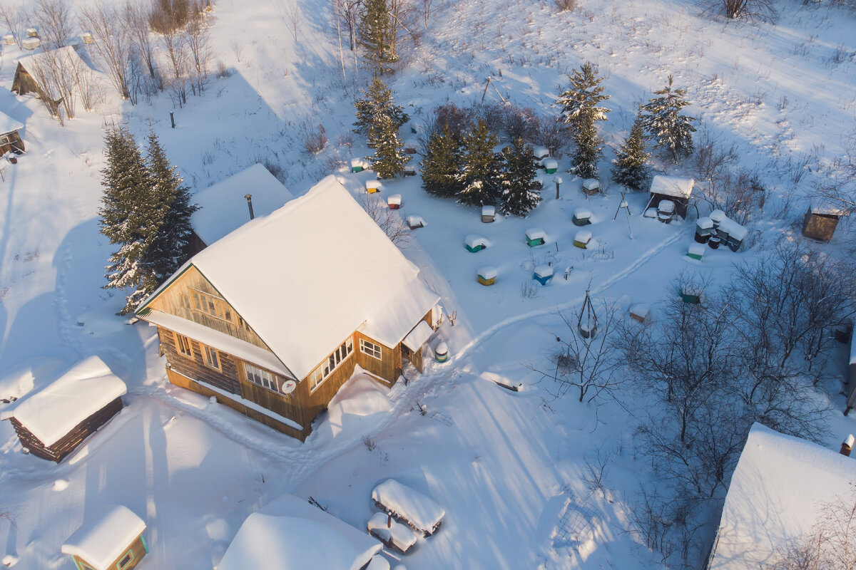 Фото автора.