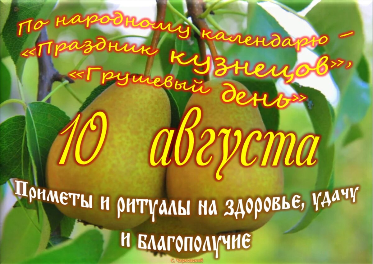 10 avgust. 10 Августа какой праздник. 10 Августа праздник. 10 Мая праздник день Международный день аргании дерева.