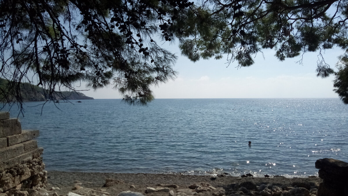 Античный Фазелис, Турция. Сосны и море. Фотография Цветы вокруг нас