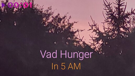 Vad Hunger - In 5 AM | Official Audio | 2023