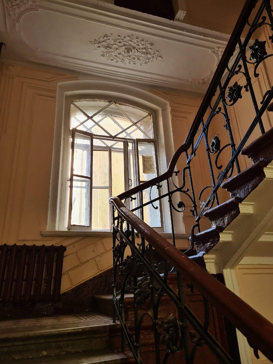 Фото: Парадная гостья