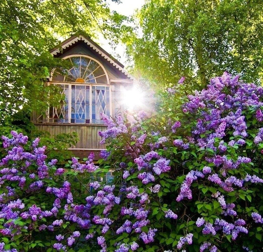 Домик в саду