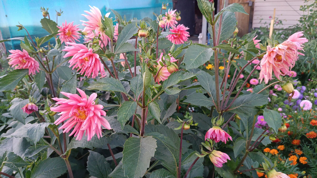 Фото автора статьи. 