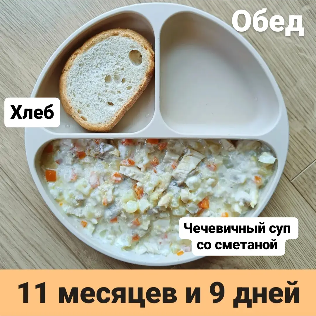 Пример тарелки в 11 месяцев 