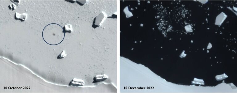 Сравнение снимков говорит о наличии колонии пингвинов на морском льду у острова Смайли в период с 10 октября 2022 года по 10 декабря 2022 года. Снимки получены со спутника «Copernicus SENTINEL-2» Европейской комиссии.
