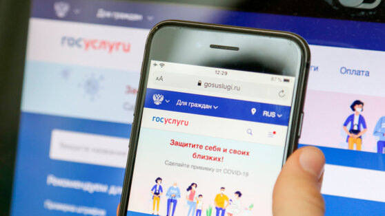    Минцифры запустило портал "Я в России" для жителей новых регионов Алина Городниченко