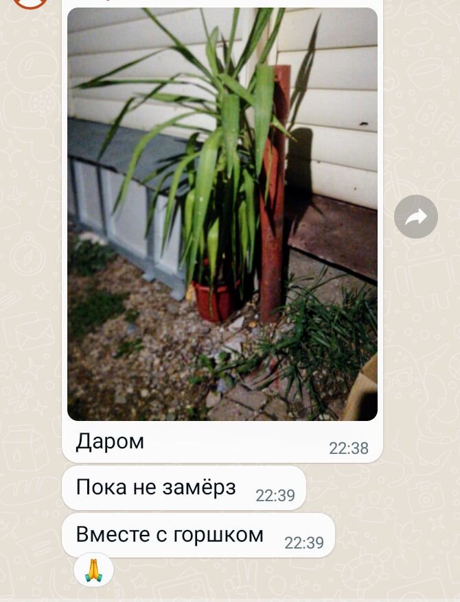 Скриншот 