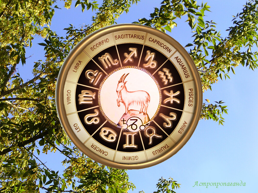 Коллаж Нины Стрелковой. 