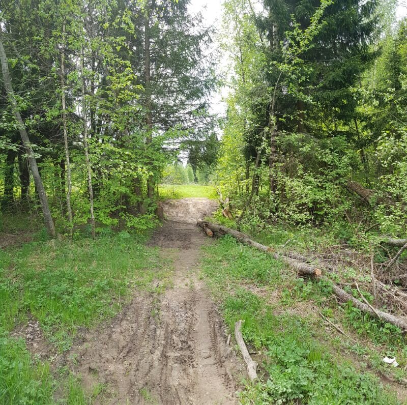 Где то в Московской области... 