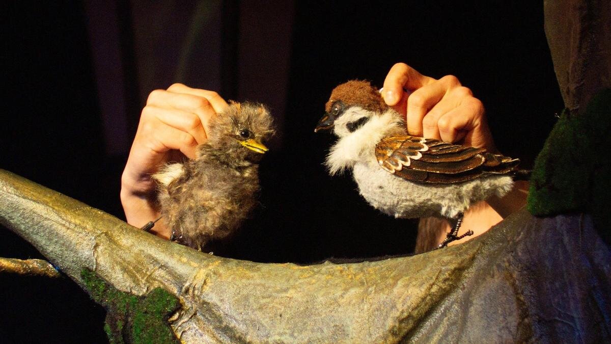    Фото: Дмитрий Абрамов / MR7