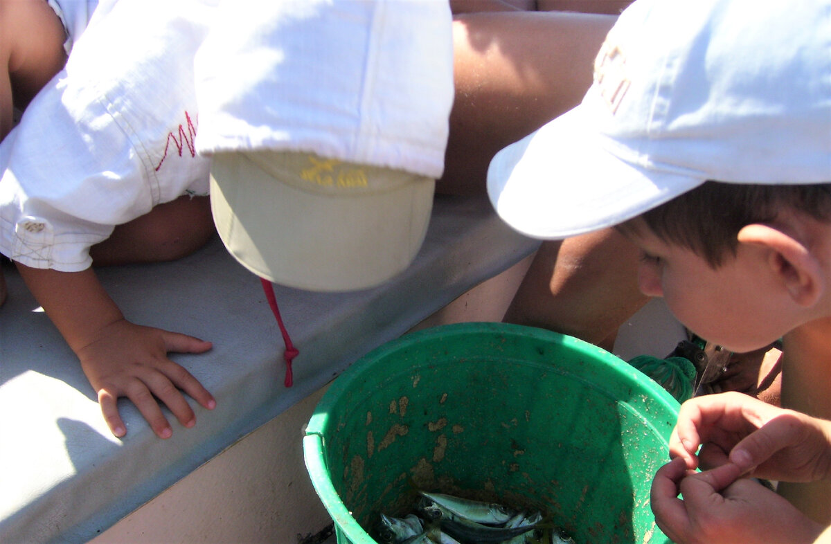 Сынок и внук