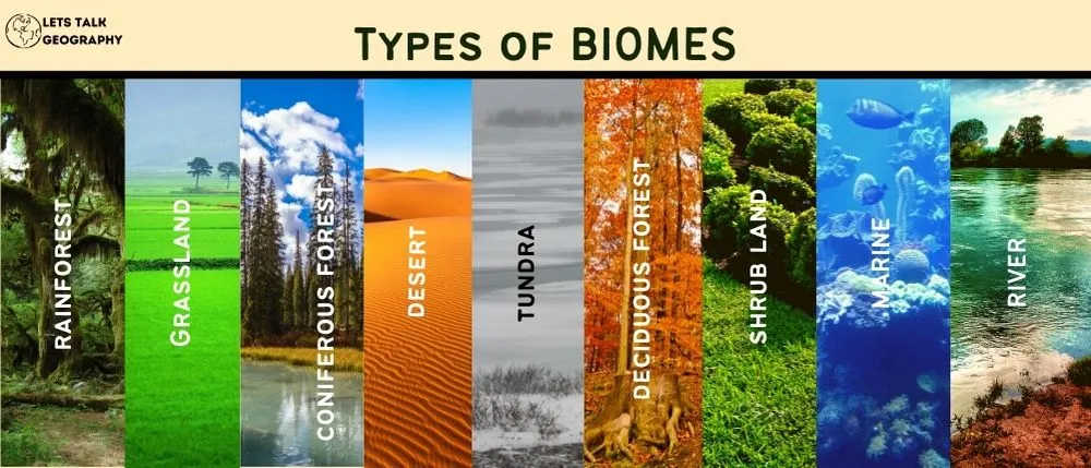 Картинка взята отсюда: https://letstalkgeography.com/biome-and-its-types/ 