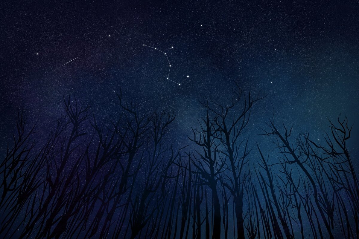 Арт взят из интернета и принадлежит его автору.