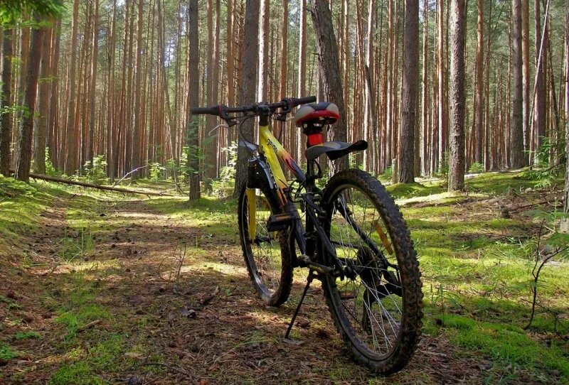    В Сарапуле безработный украл велосипед из гаражного кооператива