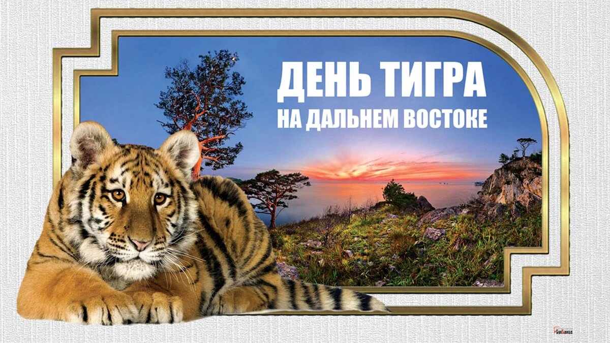 Открытки Тигры с Пожеланиями