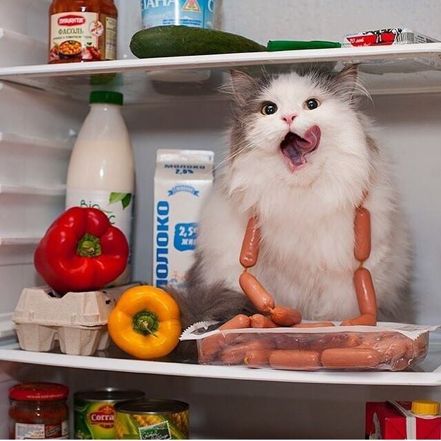 Картинка взята с https://secure.diary.ru/userdir/3/2/2/0/3220684/82590481.jpg