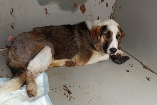 фото из открытых источников интернета