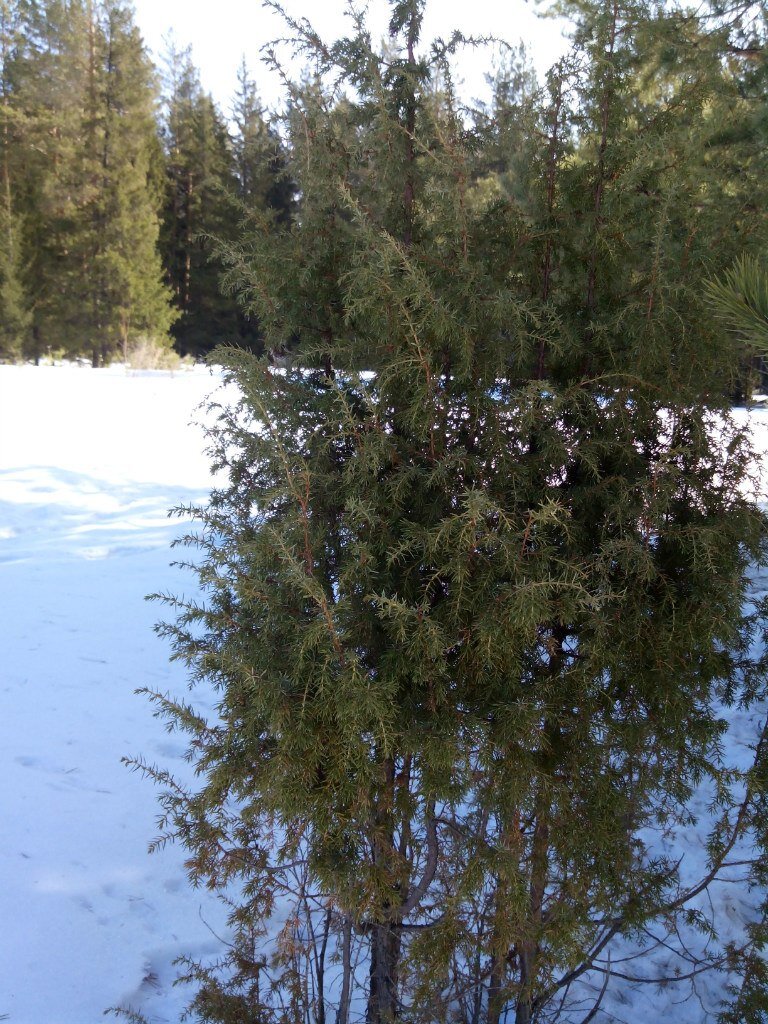 -1-3