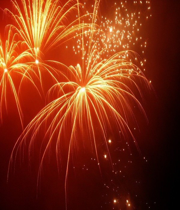 https://cdn.pixabay.com/photo/2016/01/04/14/24/new-year-2016-1120960_960_720.jpg