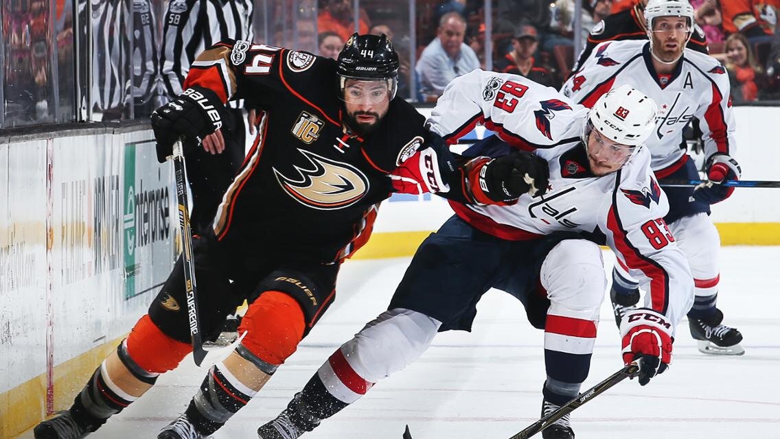 Фото взято из открытых источников