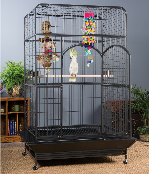 ttps://www.pinterest.fr/pin/AcIZyklTgkL7mc4Bqn2cndHqz9-aAw4IKF_rbwKUX_5J6Bc0YlMVQt8yqK__imLdY6NdSuRX-4Uksok2QxOza_0/?nic=1a