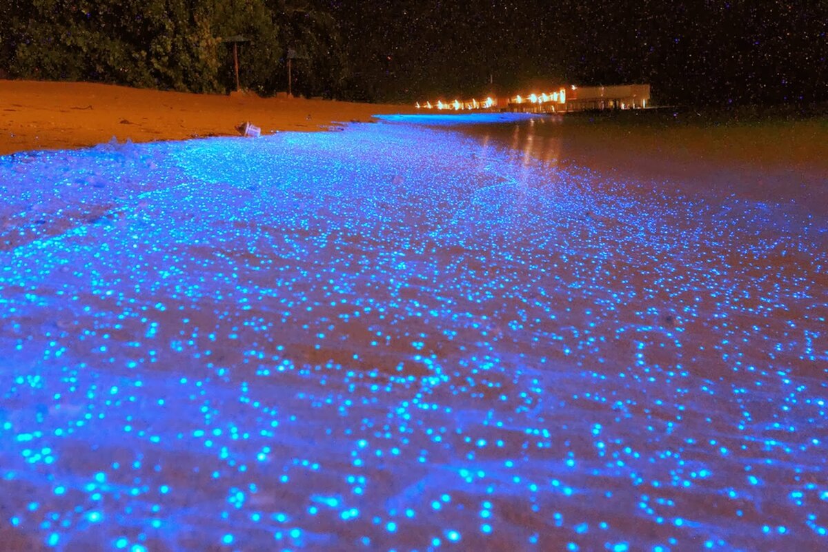 Пуэрто - Рико. Гугл фото.