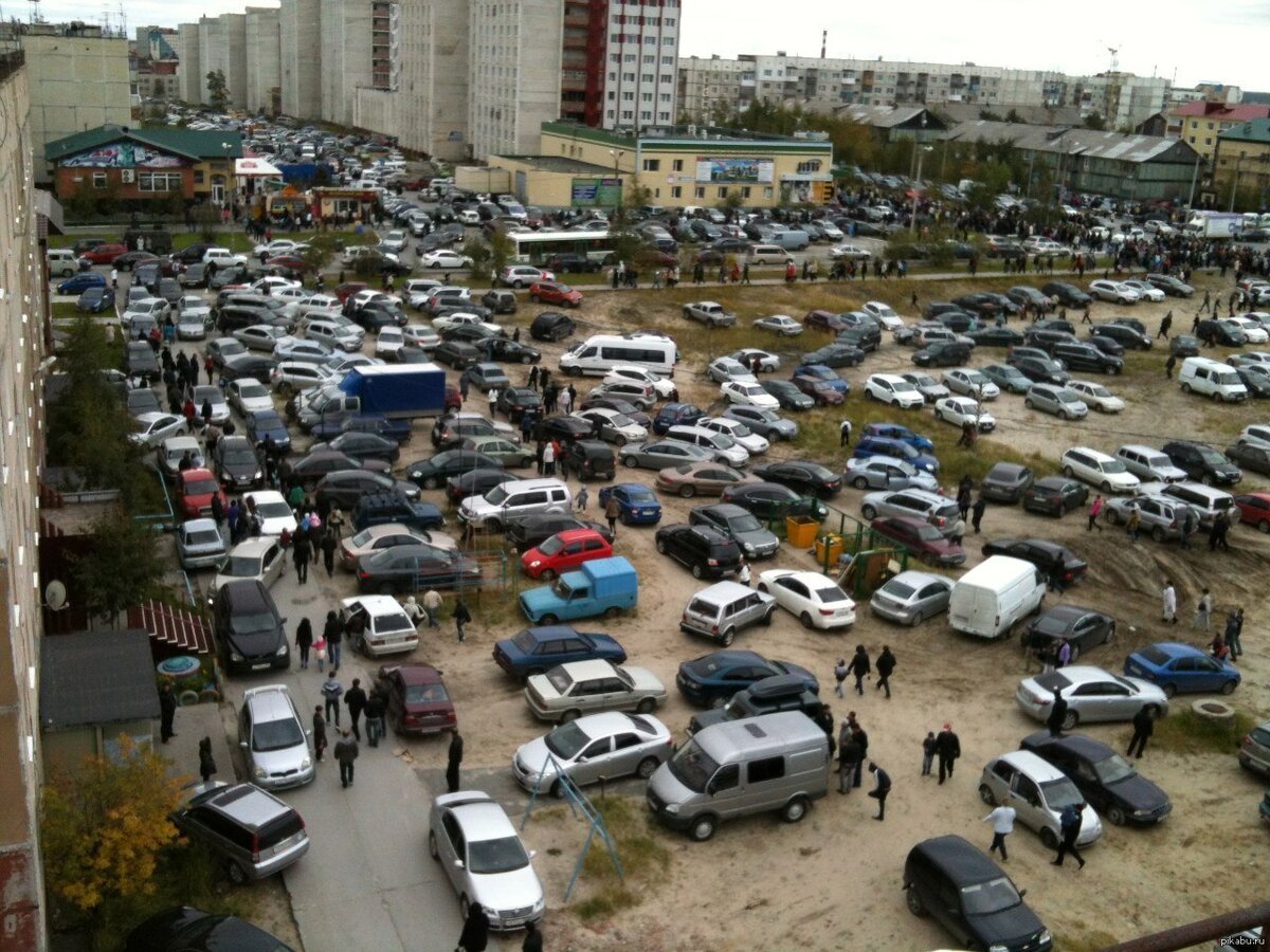 Фото из интернета.